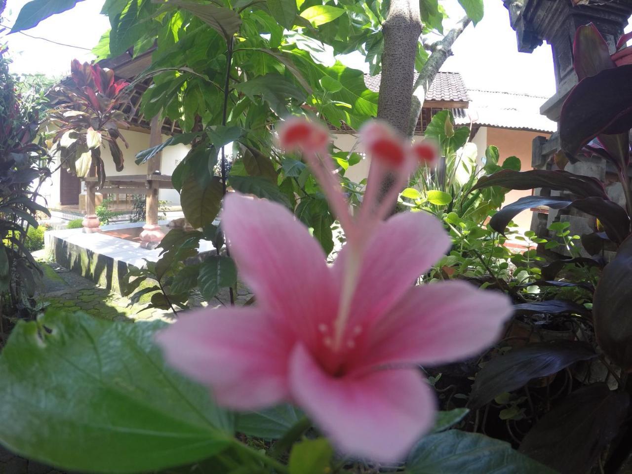 Dipa Home Stay Ubud Eksteriør billede